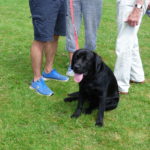 Great Sankey Summer Fun Day Was A Huge Success!