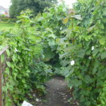 The Greening of Great Sankey – an update on Parsonage Way