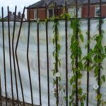 The Greening of Great Sankey – an update on Parsonage Way