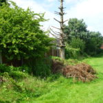 The Greening of Great Sankey – an update on Parsonage Way
