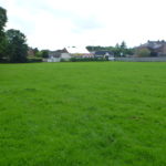 The Greening of Great Sankey – an update on Parsonage Way