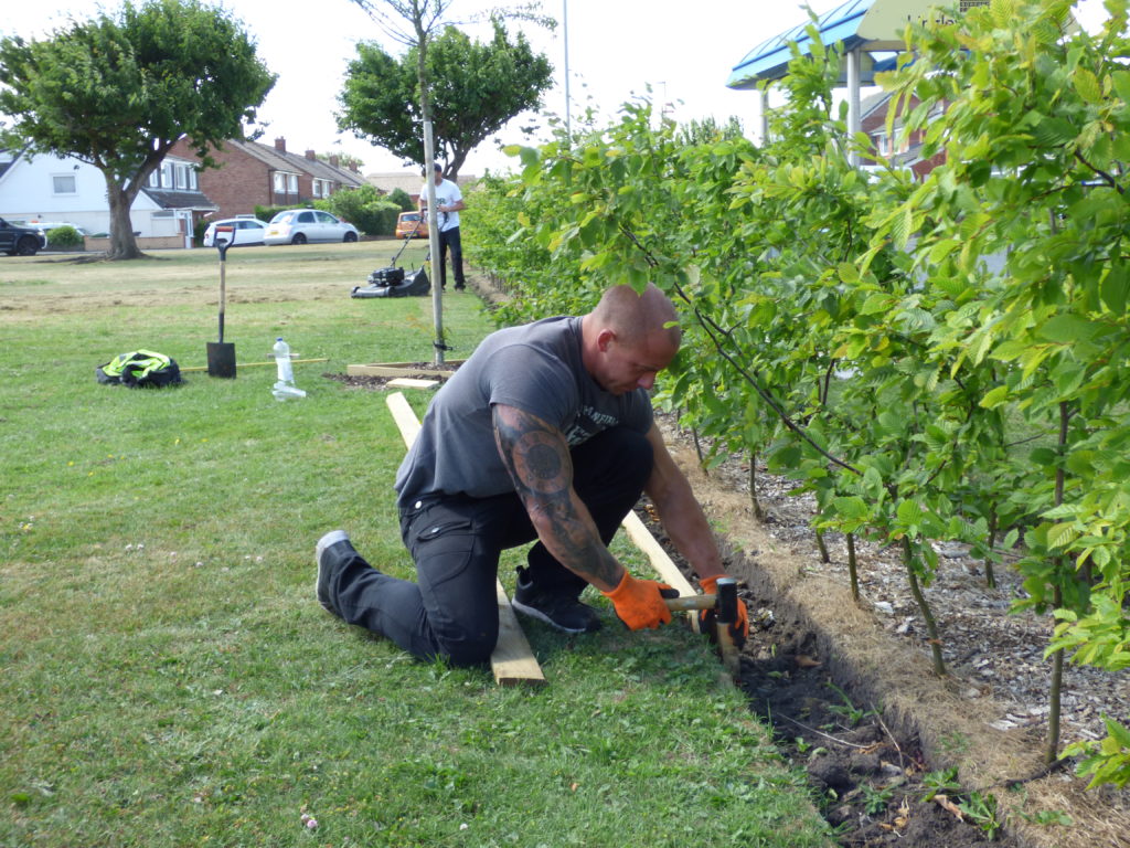 Traffic Calming Hedges on Lingley Green