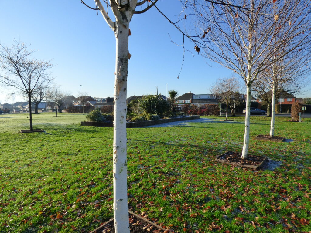 Sole/Head Gardener - Job Vacancy